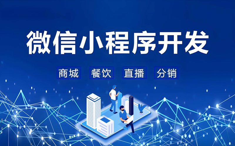 软件定制：企业如何高效选购软件解决方案
